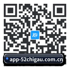 安卓极速冲浪端 二维码